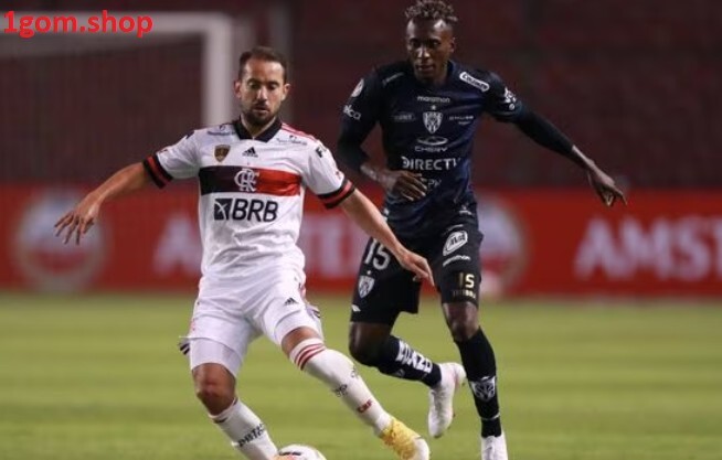 Independiente Del Valle vs Flamengo, 07h30 ngày 22/2/2023 Siêu Cúp Nam Mỹ Independiente Del Valle vs Flamengo, 07h30 ngày 22/2/2023 Siêu Cúp Nam Mỹ