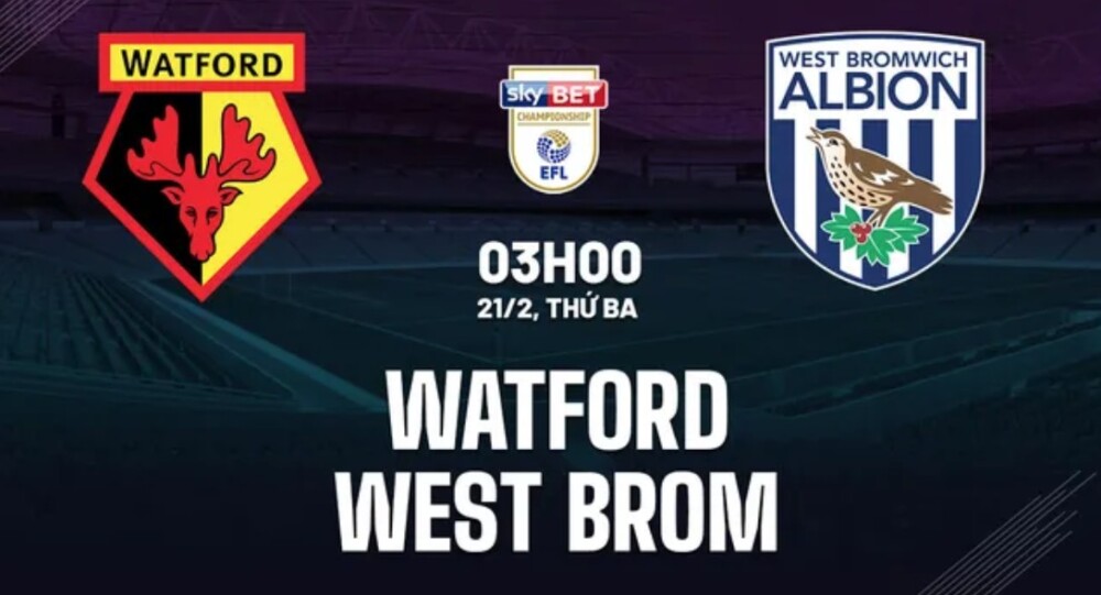 watford watford