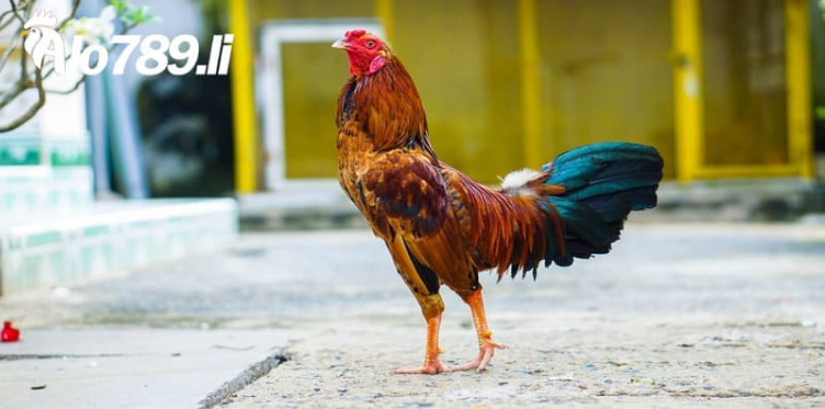 Bảo mật thông tin tuyệt đối Bảo mật thông tin tuyệt đối