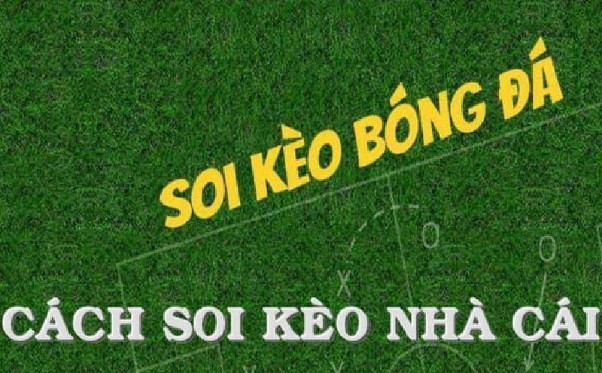Tối ưu khả năng chiến thắng kèo nhà cái hôm nay bằng những mẹo đơn giản Tối ưu khả năng chiến thắng kèo nhà cái hôm nay bằng những mẹo đơn giản