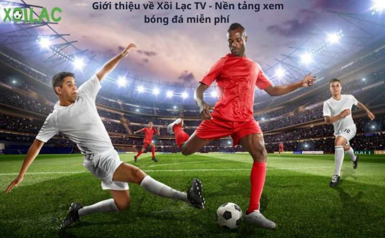 Lý do Xoilac TV được nhiều người yêu thích nhất 2024 Lý do Xoilac TV được nhiều người yêu thích nhất 2024