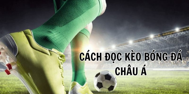 Hướng dẫn người chơi đọc hiểu kèo châu Á Hướng dẫn người chơi đọc hiểu kèo châu Á