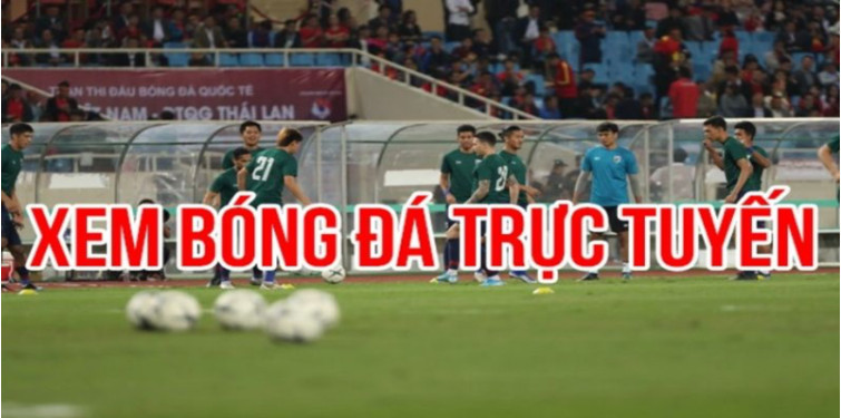 Những đặc điểm nổi bật chỉ có tại socolive Những đặc điểm nổi bật chỉ có tại socolive