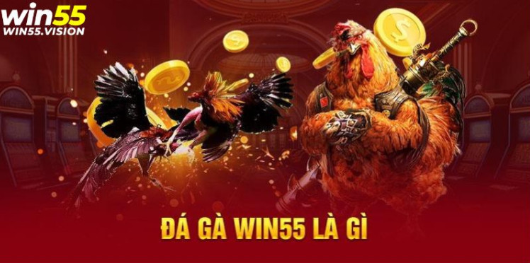 Tìm hiểu về hình thức đà gà Đá Gà WIN55 Tìm hiểu về hình thức đà gà Đá Gà WIN55