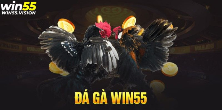 Tại sao nhiều người chơi yêu thích Đá gà Đá Gà WIN55 đến thế? Tại sao nhiều người chơi yêu thích Đá gà Đá Gà WIN55 đến thế?