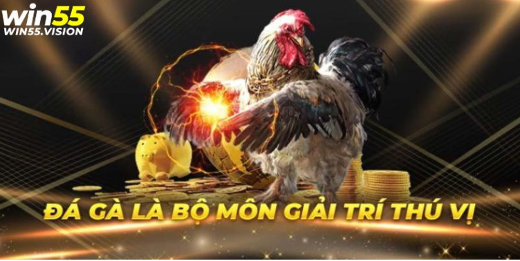 Điểm qua 2 hình thức đá gà Đá Gà WIN55 dễ chơi nhất Điểm qua 2 hình thức đá gà Đá Gà WIN55 dễ chơi nhất