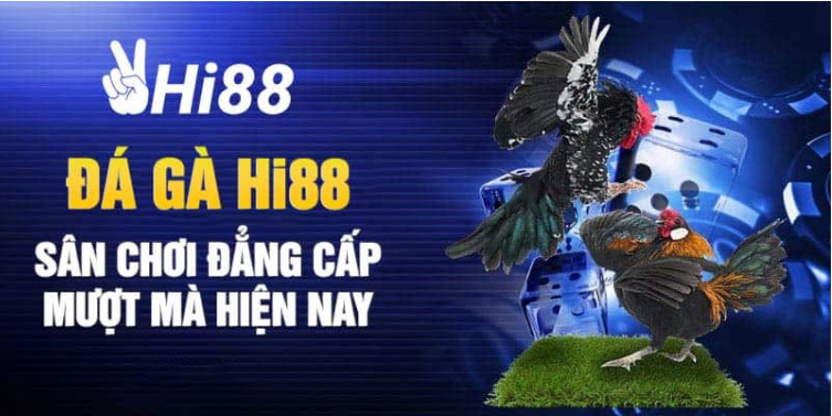 Tìm hiểu cách đăng ký đá gà Hi88 Tìm hiểu cách đăng ký đá gà Hi88