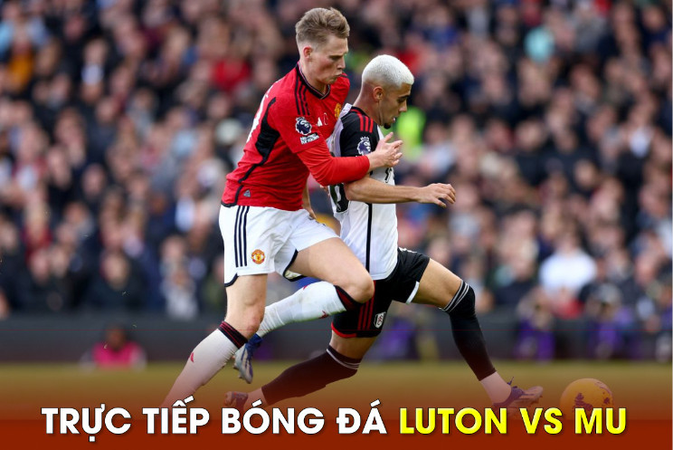 Trang trực tiếp bóng đá Trực tiếp bóng đá hi-fidelity-forum.com là gì? Trang trực tiếp bóng đá Trực tiếp bóng đá hi-fidelity-forum.com là gì?