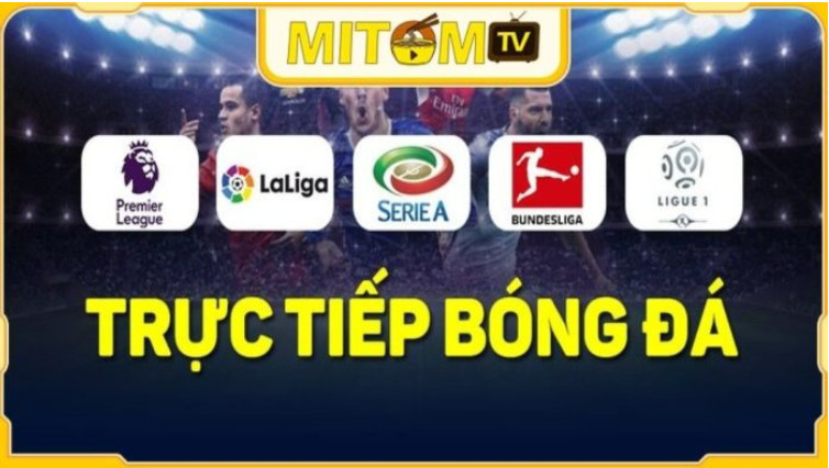 Điểm đặc biệt của trang BĐTT Mitom TV Điểm đặc biệt của trang BĐTT Mitom TV