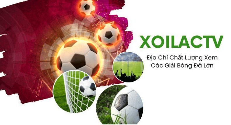 Xoilac TV - trang web xem bóng đá trực tiếp có gì? Xoilac TV - trang web xem bóng đá trực tiếp có gì?