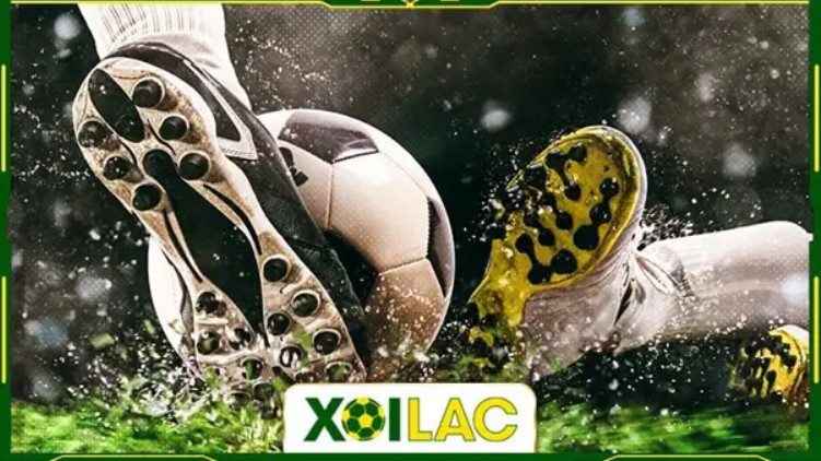 Phát sóng bằng tiếng Việt Phát sóng bằng tiếng Việt