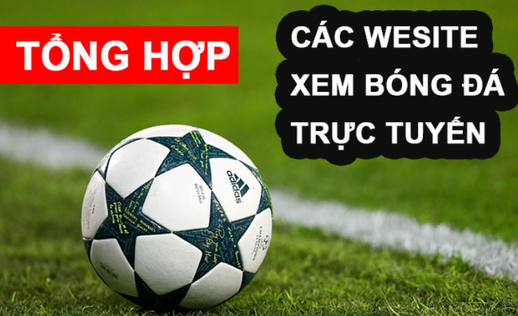 Đội ngũ chăm sóc khách hàng của Vebotv được đánh giá như thế nào? Đội ngũ chăm sóc khách hàng của Vebotv được đánh giá như thế nào?