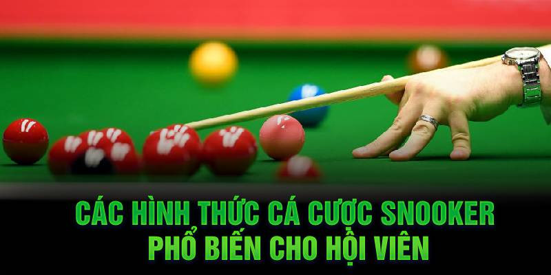 Các hình thức cá cược Snooker phổ biến cho hội viên Các hình thức cá cược Snooker phổ biến cho hội viên