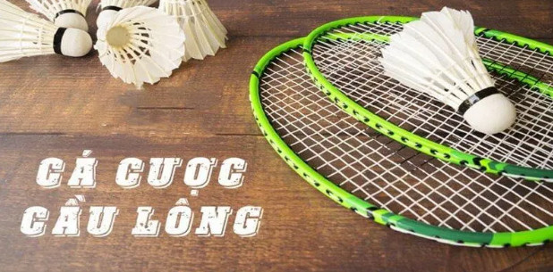 Quy tắc cá độ cầu lông Quy tắc cá độ cầu lông