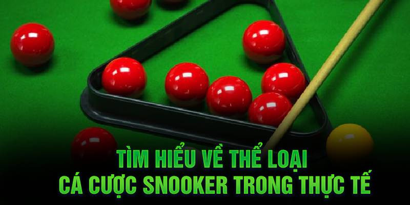 Tìm hiểu về thể loại cá cược Snooker trong thực tế Tìm hiểu về thể loại cá cược Snooker trong thực tế