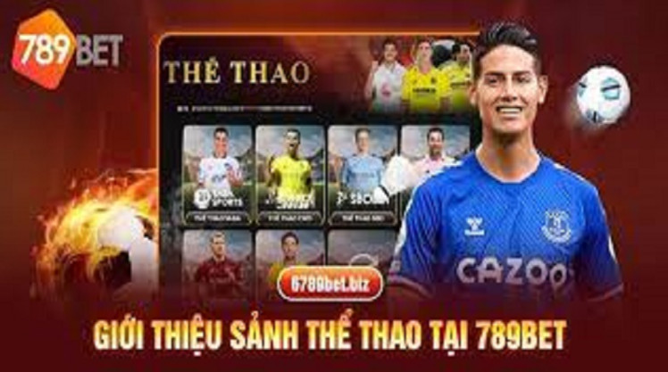 Một vài nét về sảnh thể thao 789bet Một vài nét về sảnh thể thao 789bet