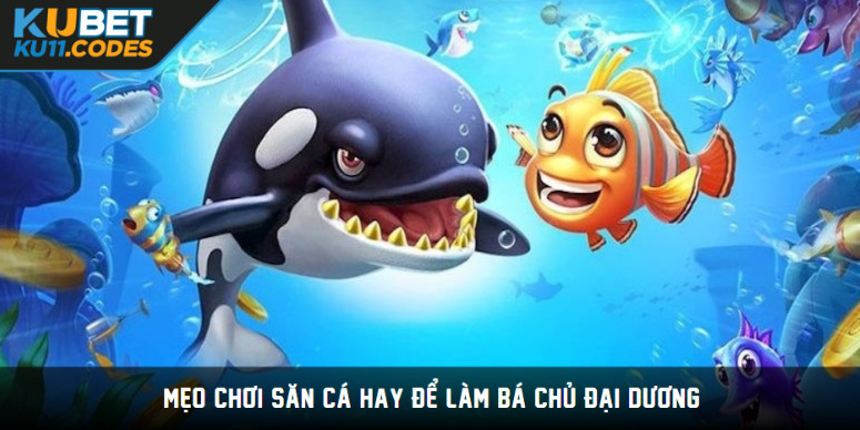 Mẹo chơi săn cá hay để làm bá chủ đại dương Mẹo chơi săn cá hay để làm bá chủ đại dương