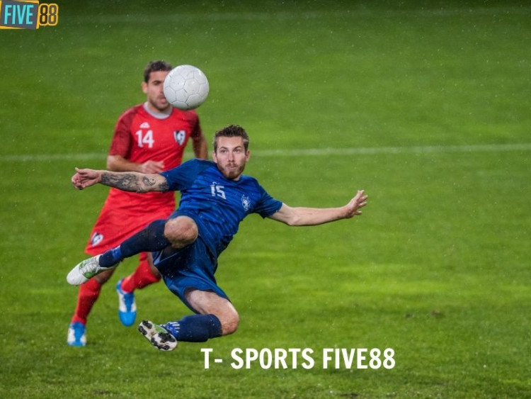 T- Sports Five88 là sảnh cược uy tín và chất lượng. T- Sports Five88 là sảnh cược uy tín và chất lượng.