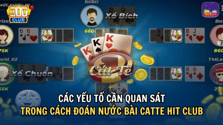 Những yếu tố quan trọng cần quan sát trong cách đoán nước bài Catte Hit Club Những yếu tố quan trọng cần quan sát trong cách đoán nước bài Catte Hit Club