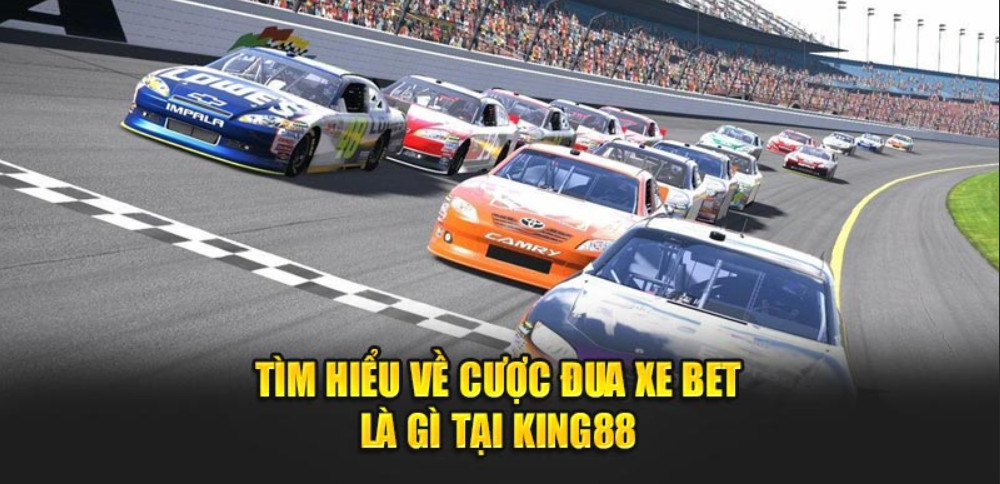 Tìm hiểu về cược đua xe bet là gì tại King88 Tìm hiểu về cược đua xe bet là gì tại King88