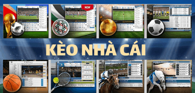 Kèo Nhà Cái Tại KUWIN: Hướng Dẫn Toàn Diện Cho Người Chơi Cá Cược 2 Screenshot 6 1